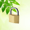 keyed alike padlock