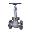 API Cryogenic Flanged Globe Valve