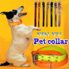 pets of dog collars
