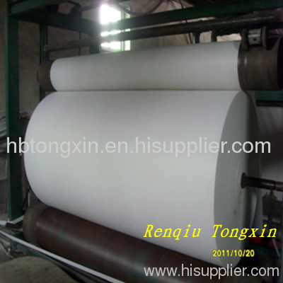 Polyester mat