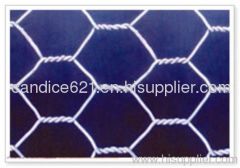 Hexagonal Wire Mesh