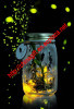 Firefly Jar