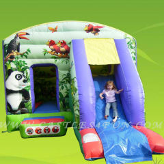 bouncer inflatable,inflatable jumpers