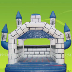 moon bounce,inflatable castles for sales