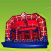 rental inflatable bouncer,bounce houses