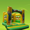 inflatables bouncer,kids party