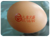 printing samples of egg inkjet printer