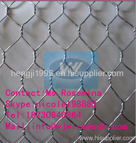 Gabion Mesh/Hexagonal Wire Netting