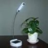 LED Table Light