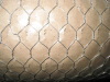 Hexagonal Wire Mesh