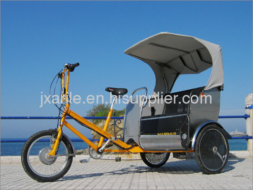 Electric Rickshaw