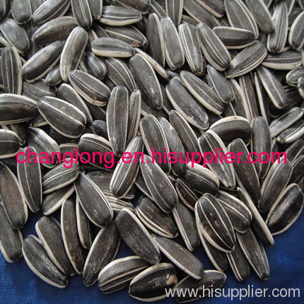 Confectionary striped sunflower seeds 5009