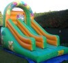 beautiful inflatable dry slide for kids