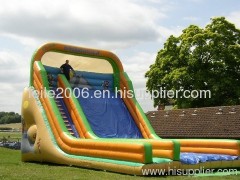 colors inflatable water slide/ slider