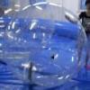 inflatable water walking ball