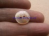 shell button,nature shell button,,mop shell button, black shell button,smoke shell button and White snail