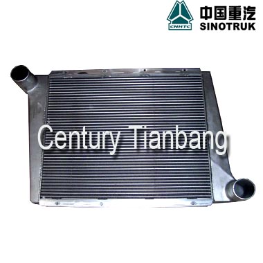 HOWO SPARE PARTS INTERCOOLER WG9725530020