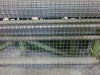 EURO WELDED WIRE MESH