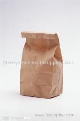 Brown Kraft Food Paper Bag