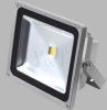 30W High Brightness LED Projector Lamp with Competitive Price