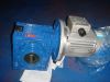 NMRV Worm Gearbox