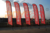 popular 10' feather flags