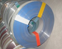 Prepainted steel strip