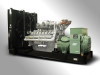 Diesel generator set