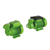 LK LB500 PM Series electric clean water pump