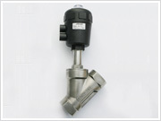 Angle seat Valves