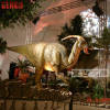 Indoor Dinosaur Exhibition