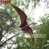 Flying Dinosaur Pteranadon