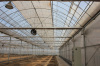 Double-layer Air-inflated Film Greenhouse