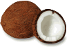 Fresh Coconut