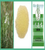 Water-soluble Rosemary extract Rosmarinic acid