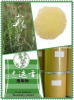 Natural plant extract Rosemary antioxidants