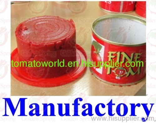 canned tomato paste