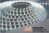 SMD 3528 non-waterproof white 60leds led strip