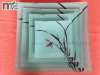 Tempered glass plate