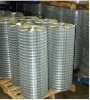 galvanized welded wire mesh panel/roll