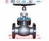 API SS304 FLANGED GLOBE VALVE RF RTJ