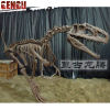 Fiberglass High Imitation Artificial Dinosaur skeleton model