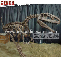 Fiberglass High Imitation Artificial Dinosaur skeleton model