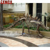 Museum simulation dinosaur fossil replicas