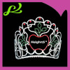 Princess Pageant Crowns In Apple Shaped