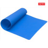 Silicone Baking Mat (SP-MT004)