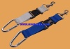 carabiner lanyard