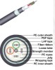 GYDTA53 LOOSE TUBE LAYER STRANDED RIBBON CABLE