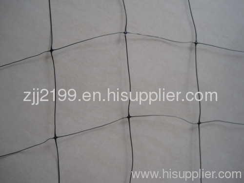 Trellis netting