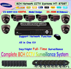 8CH H.264 DVR & Dome CCTV Camera Systems